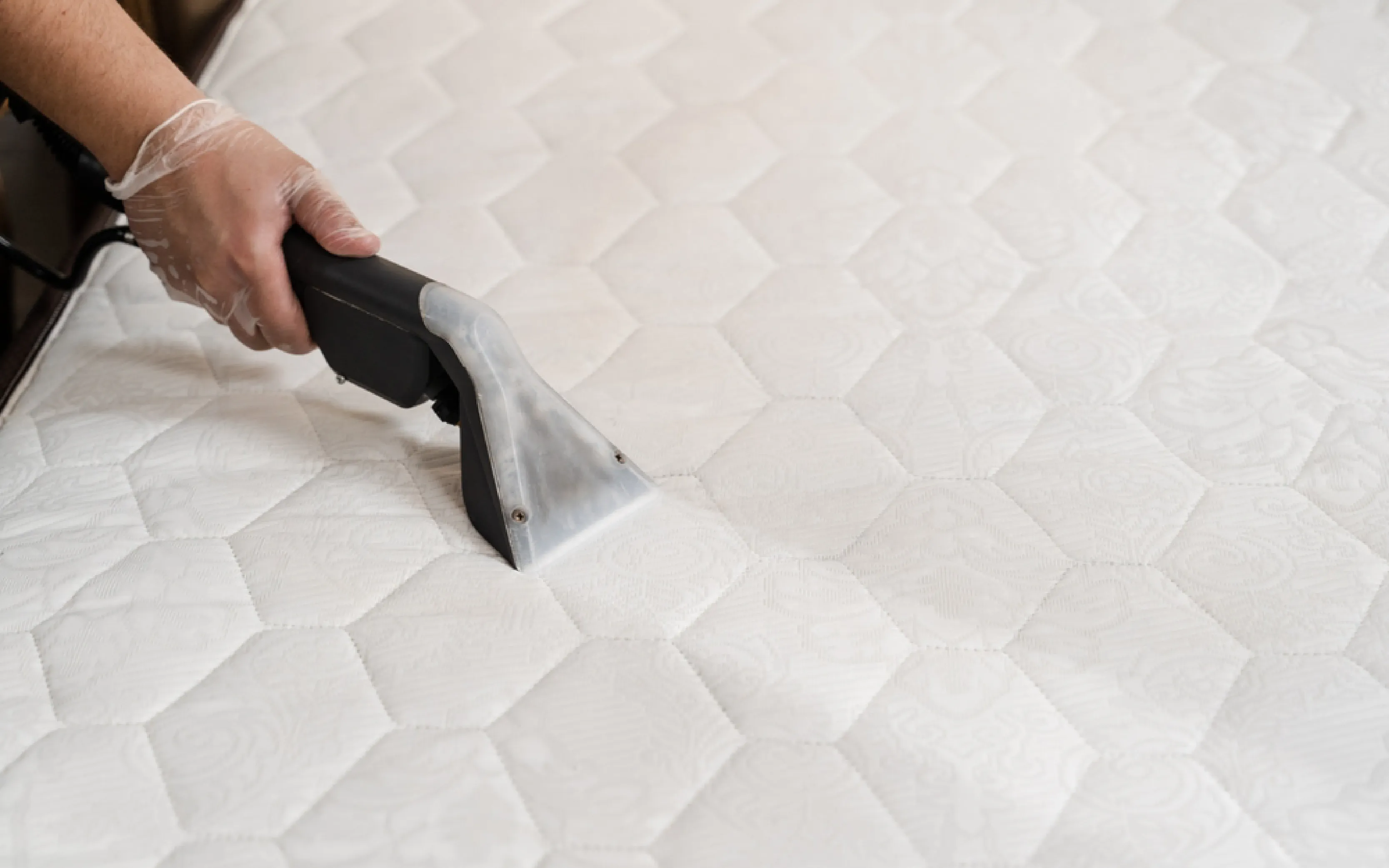 carpet cleaning in brooklyn, carpet cleaning in brooklyn, carpet cleaning brooklyn, carpet cleaners in brooklyn, carpet cleaners in brooklyn, commercial carpet cleaning, commercial carpet cleaning in brooklyn, brooklyn rug cleaners, rug cleaning services in brooklyn, same day carpet cleaning, same day rug cleaning
