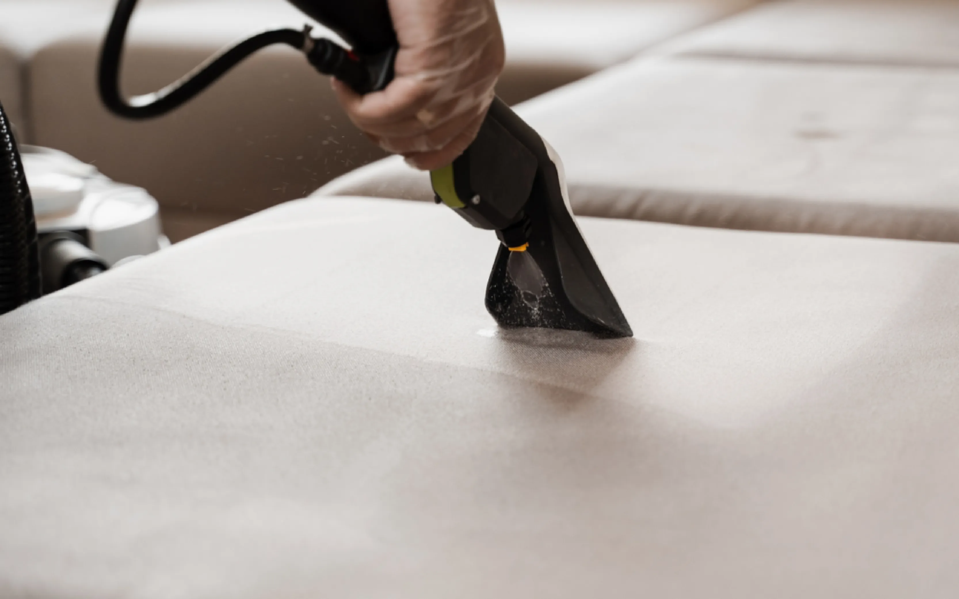carpet cleaning in brooklyn, carpet cleaning in brooklyn, carpet cleaning brooklyn, carpet cleaners in brooklyn, carpet cleaners in brooklyn, commercial carpet cleaning, commercial carpet cleaning in brooklyn, brooklyn rug cleaners, rug cleaning services in brooklyn, same day carpet cleaning, same day rug cleaning